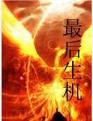最后生机