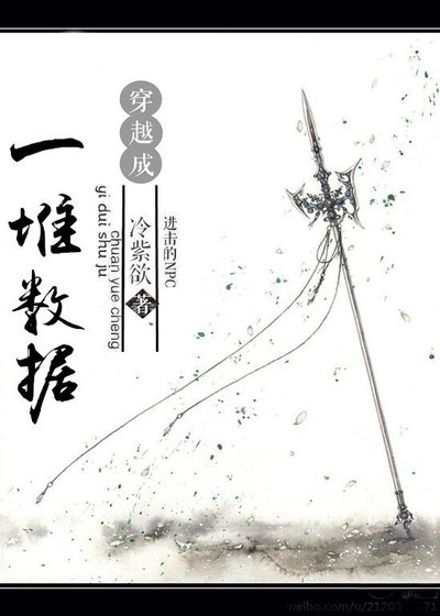 《穿越成一堆数据》