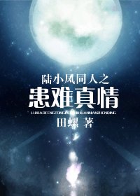 《(陆小凤同人)陆小凤同人之患难真情》