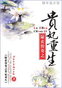 （陆贞同人）贵妃重生