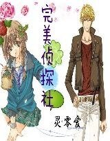 《完美侦探社》