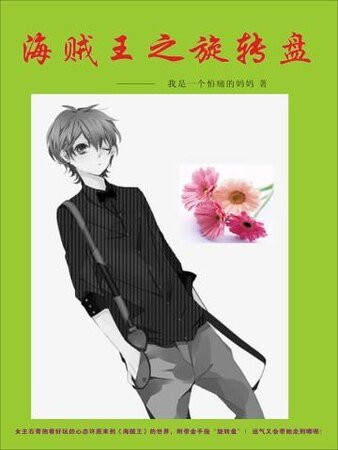 《海贼王之旋转盘》
