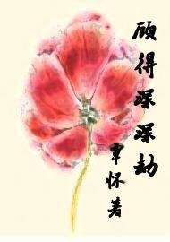 《顾得深深劫》