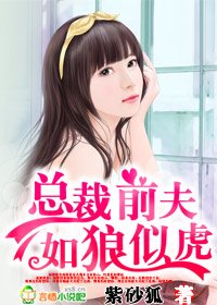 《总裁前夫,如狼似虎》