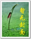 飞花逐月