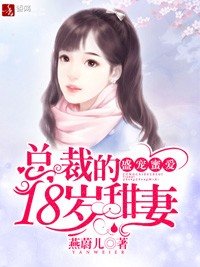《盛宠蜜爱:总裁的18岁甜妻》