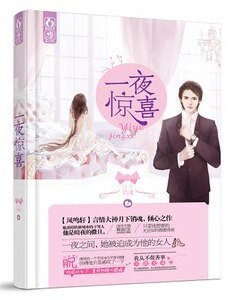 《一夜惊喜:天价娇妻(出书版+网络版)》