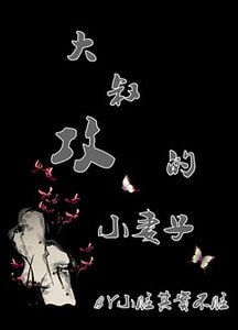 《大叔攻的小妻子》