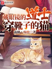 戴眼镜的道士穿靴子的猫