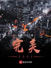 《完美2001》