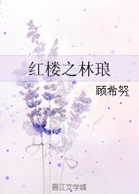 《(红楼同人)红楼之林琅》