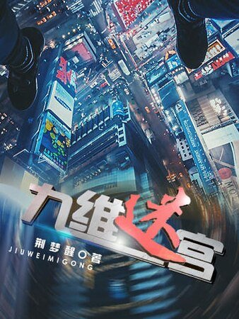 《九维迷宫》