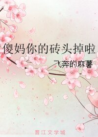 傻妈你的砖头掉啦