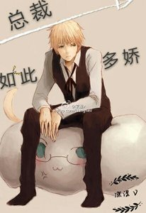 《总裁,如此多娇》