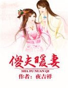 《傻夫暖妻》