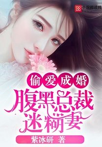 《偷爱成婚:腹黑总裁迷糊妻》