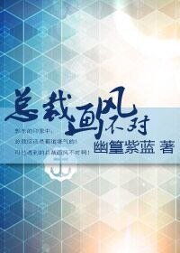 《总裁画风不对》