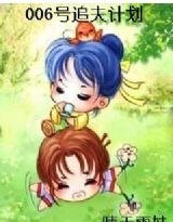 《006号追夫计划》