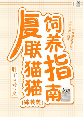 （综英美同人）复联猫猫饲养指南[综英美]
