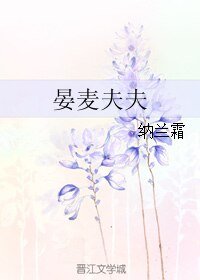 《(类似爱情同人)晏麦夫夫》