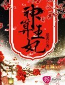 神算王妃