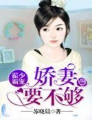 《霍少霸宠:娇妻,要不够》