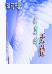 《青涩爱情:折翼的天使》