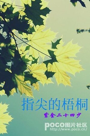 《指尖的梧桐》