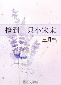 捡到一只小宋宋