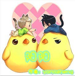 阳阳
