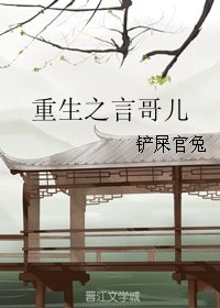 《重生之言哥儿》