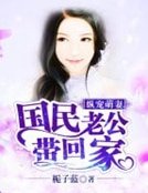 《纵宠萌妻:国民老公带回家》