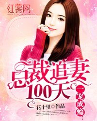 一宠成瘾：总裁追妻100天