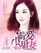 《不婚终结号:霸爱小甜妻》