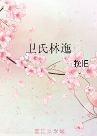 《卫氏林迤》