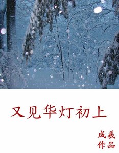 《又见华灯初上》