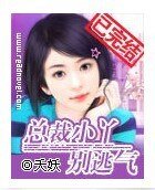总裁小丫别逃气