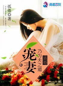 《盛婚:宠妻乃为夫之道》