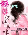 《爱妻你好美味/爱妻好甜跟我去私奔》