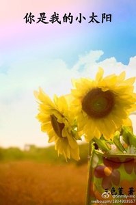 《你是我的小太阳》