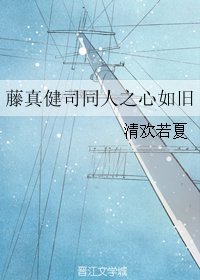 《(综漫同人)藤真健司同人之心如旧》