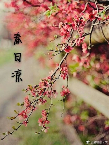 春日凉