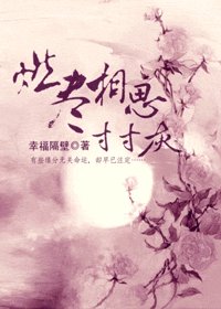 燃尽相思寸寸灰