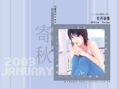 牡丹染情（十二客花图春之颂之一）