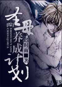 《(BL/综同人)圣母养成计划》