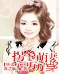 昏爱BOSS：拐个萌妻万万岁