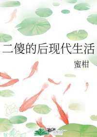 二傻的后现代生活
