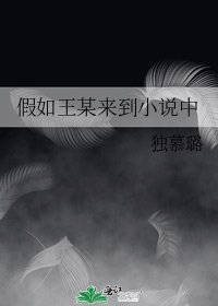 假如王某来到小说中