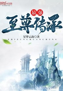《最强至尊传承》