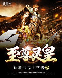 《至尊灵皇》